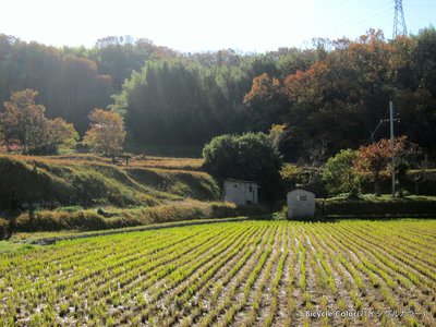 IMG_8532.JPGのサムネイル画像