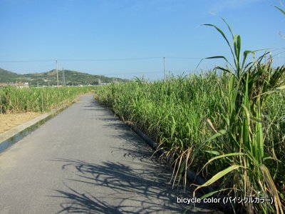 IMG_8797.JPG