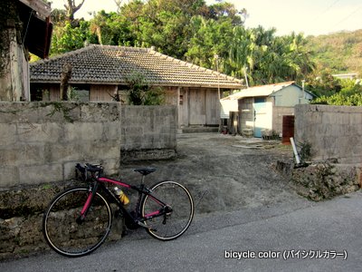 IMG_8804.JPG