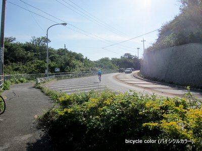IMG_8818.JPG