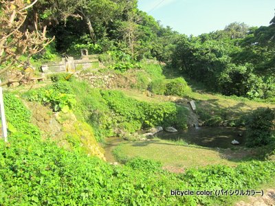 IMG_8845.JPG