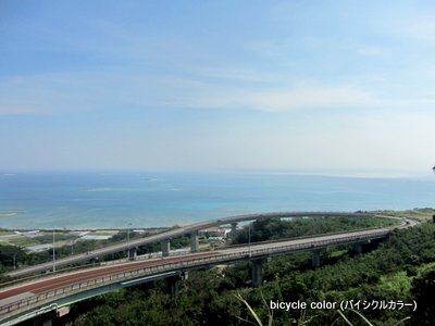 IMG_8875.JPG