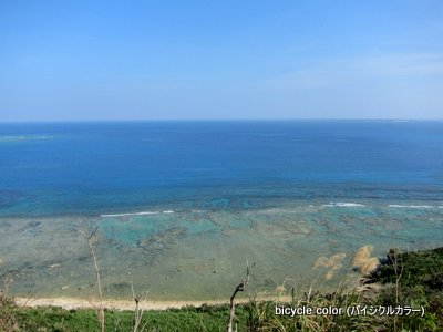 IMG_8882.JPG