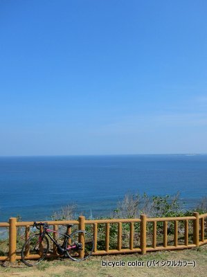 IMG_8890.JPG