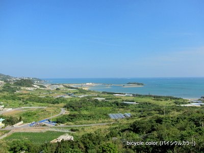 IMG_8921.JPG