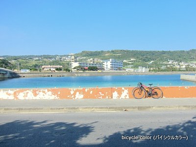 IMG_8942.JPG