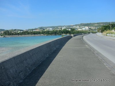 IMG_8959.JPG