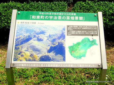 IMG_0252.JPG