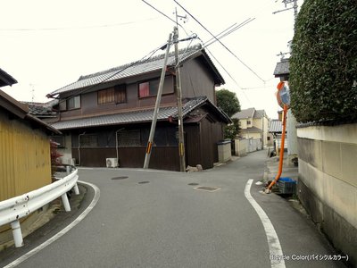 04-IMG_6641.JPG