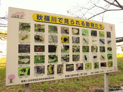 01-IMG_7031.JPG