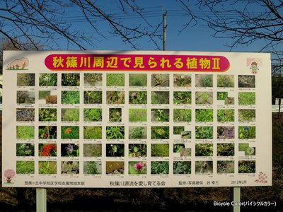 03-IMG_7049.JPG