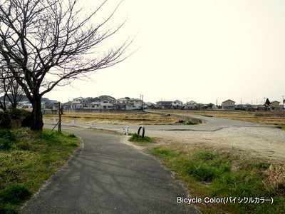 1-IMG_7176.JPG