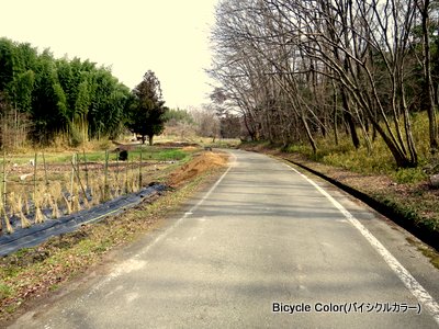 3-IMG_7148.JPG