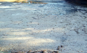 20121212_085201.jpg