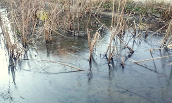 20121212_085221.jpg
