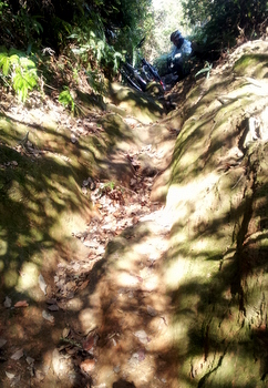 20121212_101747.jpg