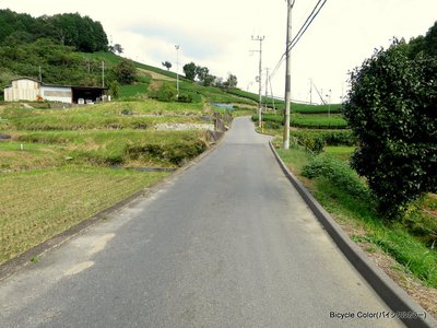 IMG_4385.JPG