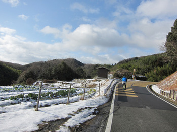 IMG_7452.JPG