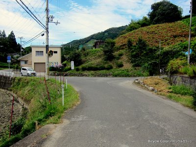 IMG_0228.JPG