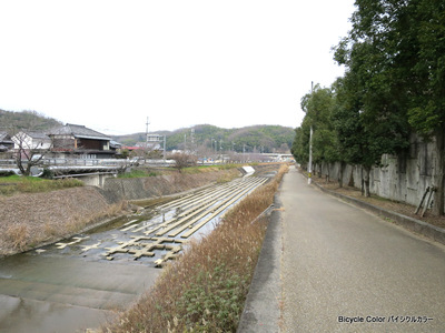 IMG_0595.JPG