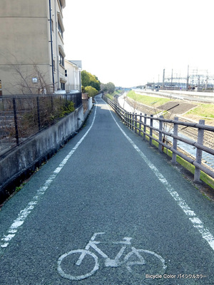 DSCF0865.JPG