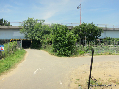 06-IMG_9677.JPG