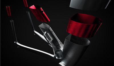 Madone902.jpg