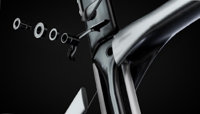Madone903.jpg