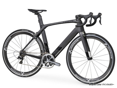 Madone910.jpg