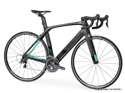 Madone911.jpg