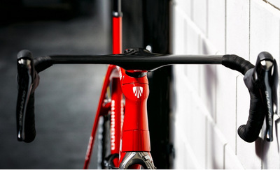 Madone913.jpg