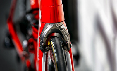 Madone915.jpg