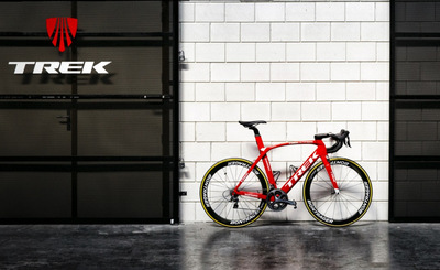 Madone931.jpg