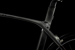 TK16_P1_Madone_Beauty_01_edit_low.jpg