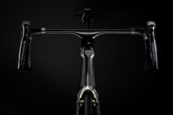 TK16_P1_Madone_Beauty_02_edit_low.jpg