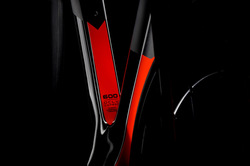TK16_P1_Madone_Beauty_06_edit_low.jpg