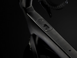 TK16_P1_Madone_Beauty_09_edit_low.jpg