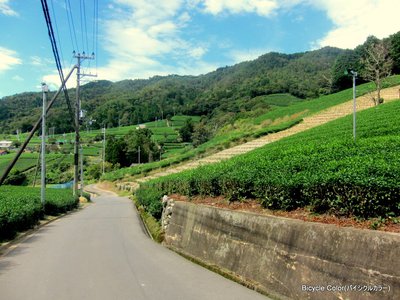 IMG_0262.JPG
