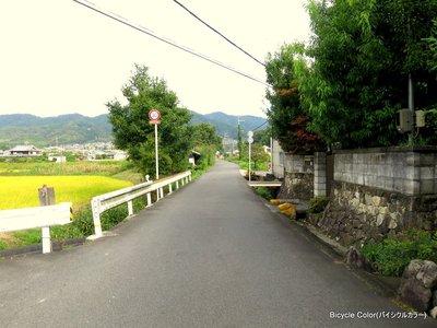 IMG_4296.JPG
