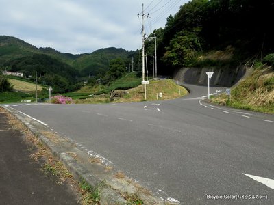 IMG_4316.JPG