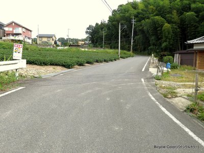 IMG_4340.JPG