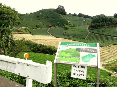 IMG_4346.JPG
