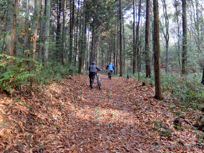 1-DSCF0576.JPG