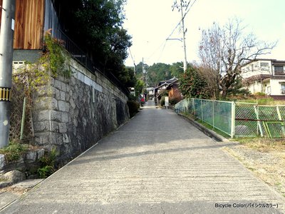 IMG_6406.JPG