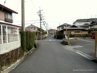 IMG_6431.JPG