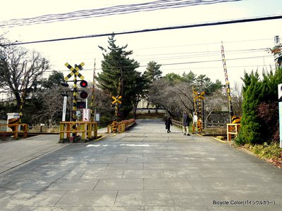 ishidatami.JPG
