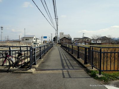 03-IMG_7104.JPG