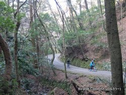 1-DSCF5050.JPG