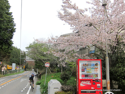 IMG_7609.JPG