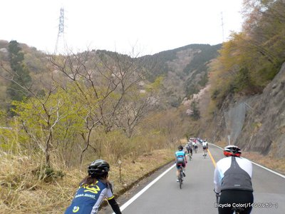 14-DSCN4599.JPG